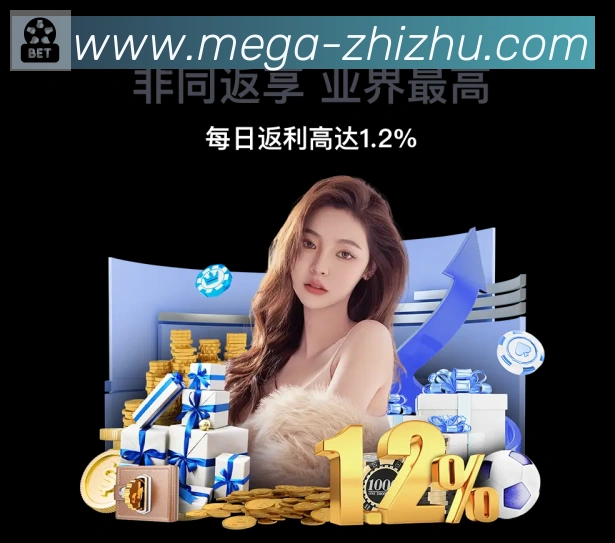 未来规划